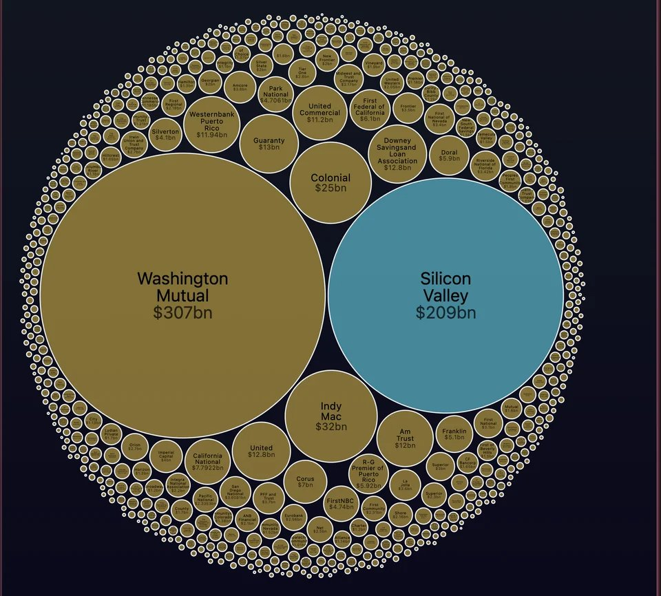 Silicon Valley Bank: Banking on Chaos